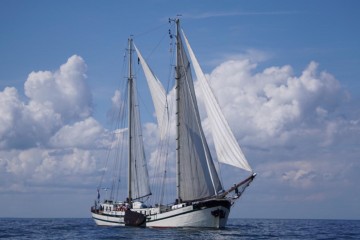 Elegant Sailing